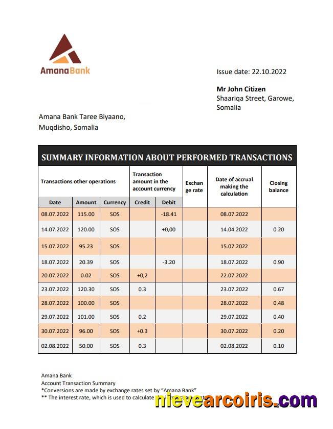 Somalia Amana bank statement